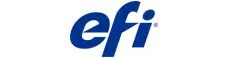 EFI logo